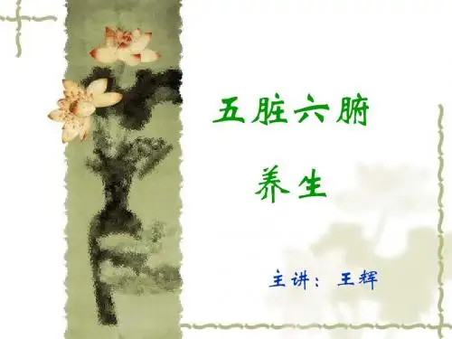 五脏六腑养生