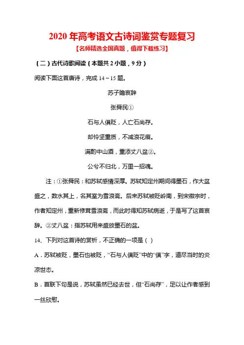 2020年高考语文古诗词鉴赏专题复习及答案