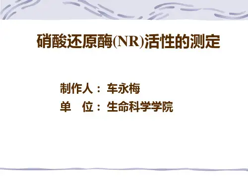 硝酸还原酶(NR)活性的测定