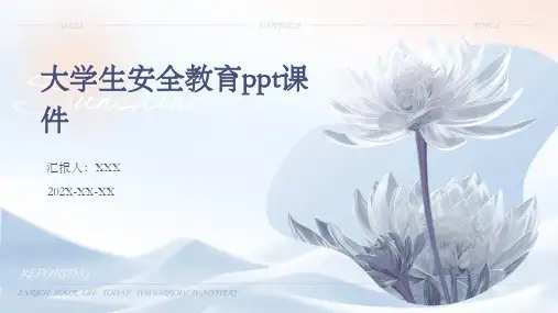 大学生安全教育ppt课件