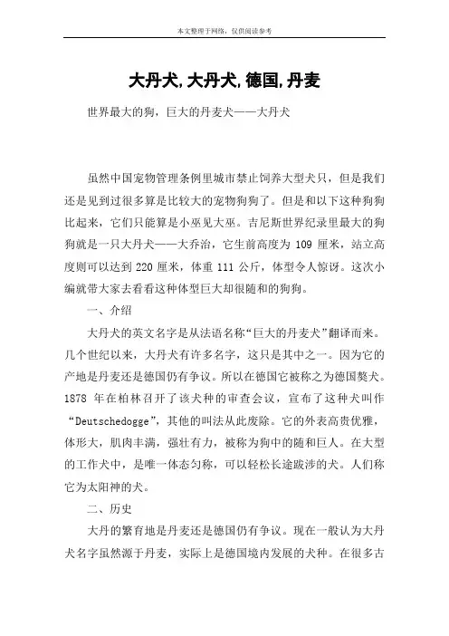 大丹犬,大丹犬,德国,丹麦