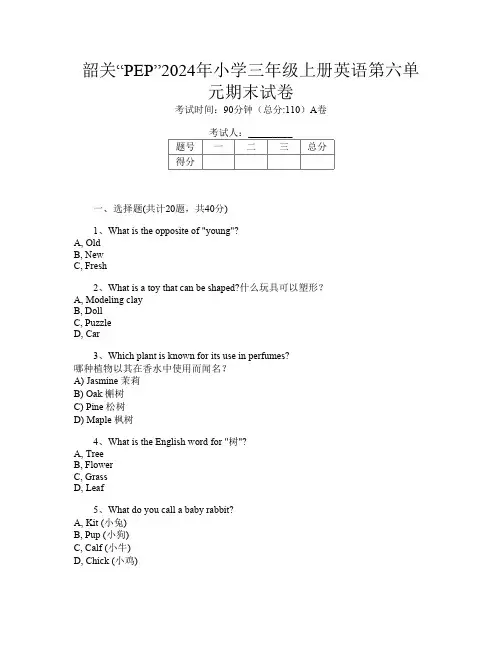 韶关“PEP”2024年小学三年级上册第13次英语第六单元期末试卷