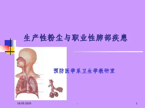 生产性粉尘与肺部疾患