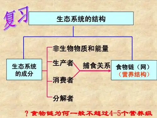 5.2生态系统的能量流动