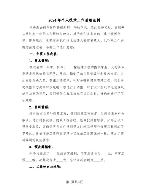 2024年个人技术工作总结范例（四篇）