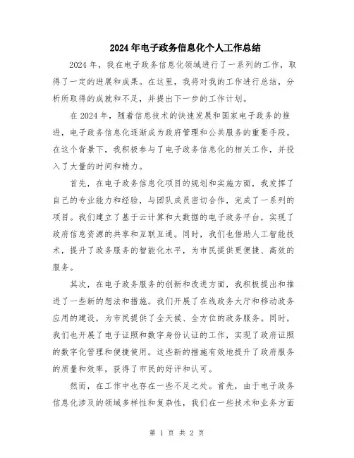2024年电子政务信息化个人工作总结