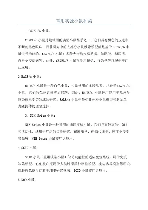 常用实验小鼠种类