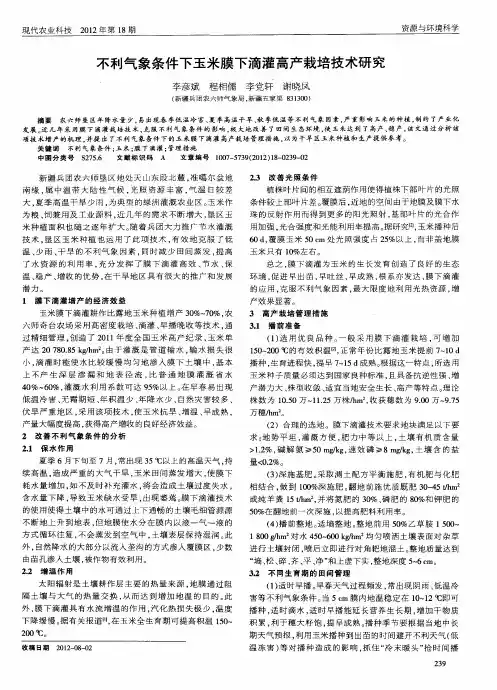 不利气象条件下玉米膜下滴灌高产栽培技术研究