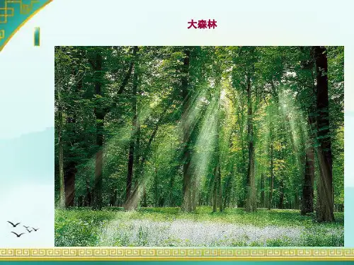 儿童绘画教学-xx  大森林PPT