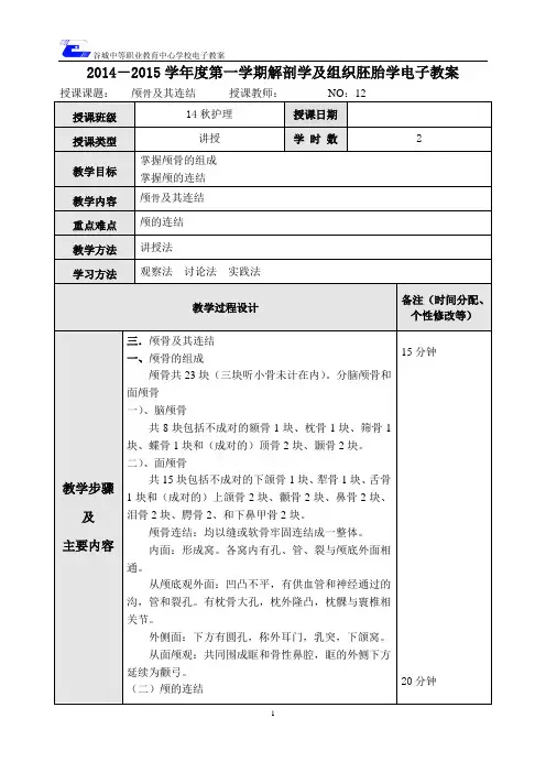 12颅骨及其连结