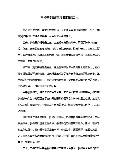 三种鱼的故事给我们的启示