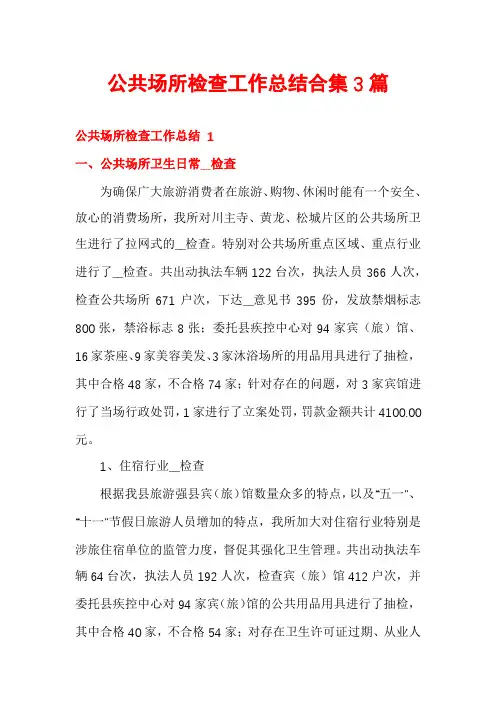 公共场所检查工作总结合集3篇