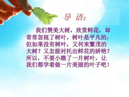做一片美的叶子ppt课件