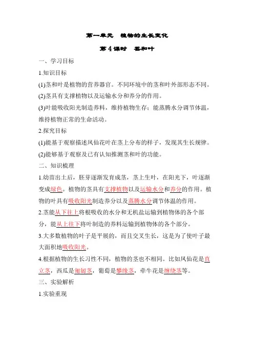 教科版科学四年级下册 第一单元 植物的生长变化第4课时 茎和叶  (答案版)