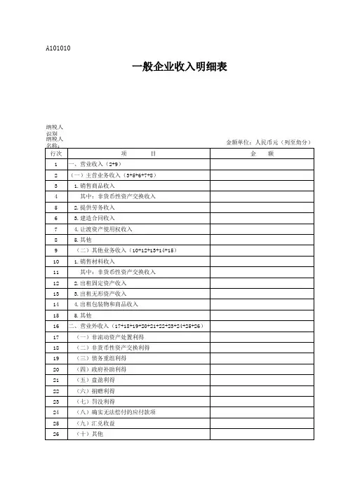 A101010一般企业收入明细表