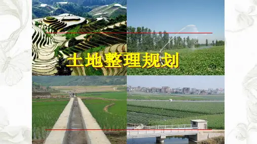 土地整理概述课件
