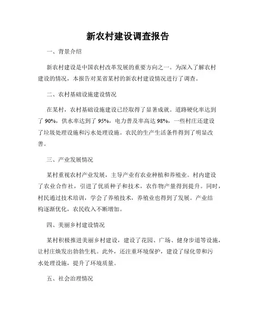 新农村建设调查报告