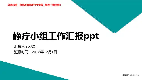【优秀文档】2018-2019静疗小组工作汇报ppt【框架完整ppt】