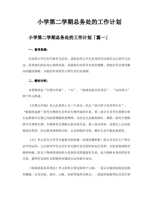 小学第二学期总务处的工作计划