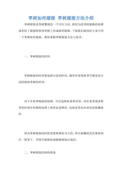 枣树如何嫁接 枣树嫁接方法介绍