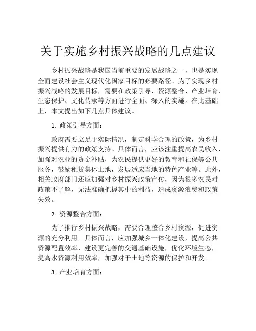 关于实施乡村振兴战略的几点建议