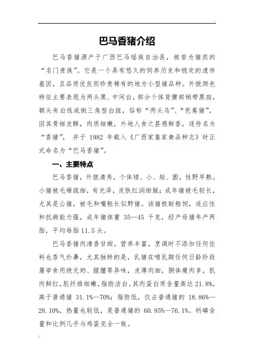 巴马香猪介绍