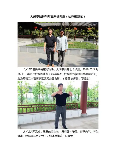 大成拳站桩与基础拳法图解（杜存彬演示）