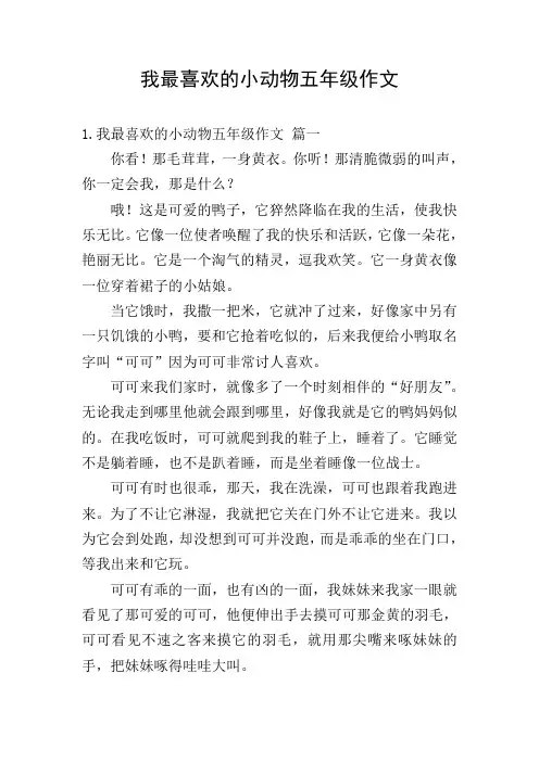 我最喜欢的小动物五年级作文