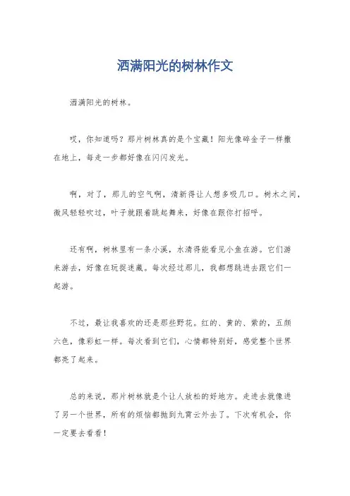 洒满阳光的树林作文