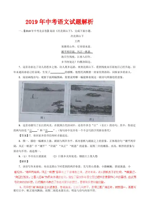 2019年中考语文试题解析汇编：诗歌鉴赏(含解析)