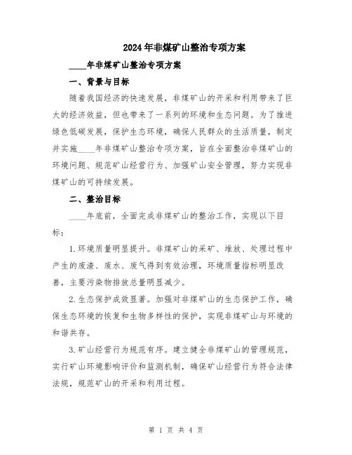 2024年非煤矿山整治专项方案