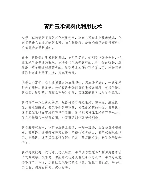 青贮玉米饲料化利用技术