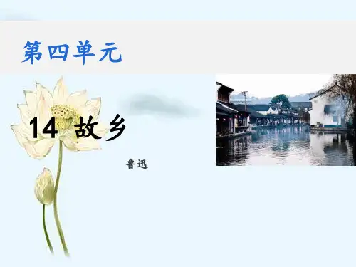 第14 课《故乡》课件(共44张PPT) 2021-2022学年部编版语文九年级上册
