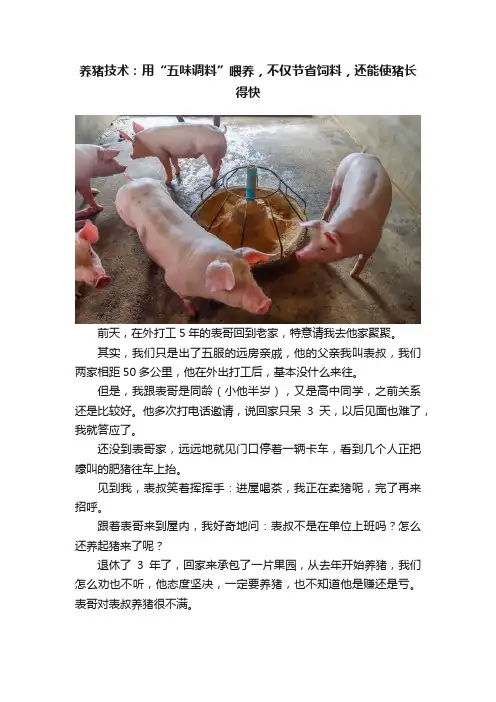 养猪技术：用“五味调料”喂养，不仅节省饲料，还能使猪长得快