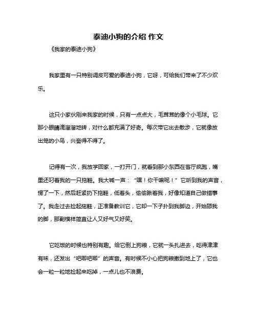 泰迪小狗的介绍 作文
