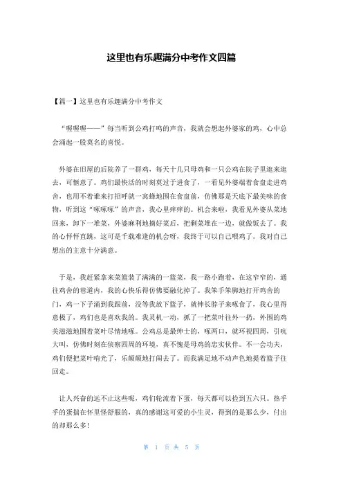 这里也有乐趣满分中考作文四篇