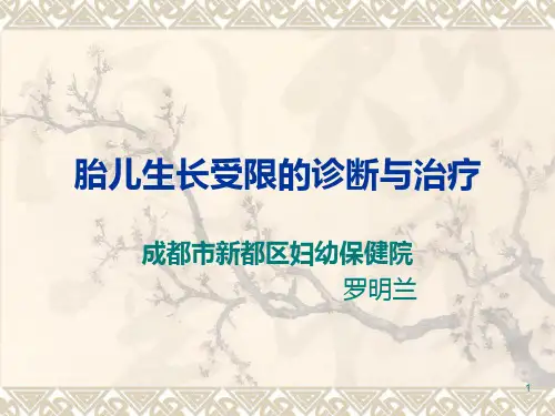 胎儿生长受限的诊断与治疗PPT课件