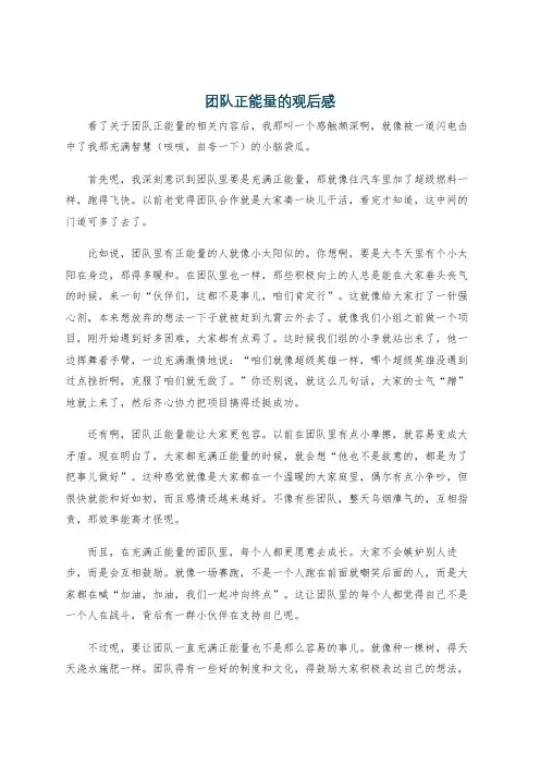 团队正能量的观后感