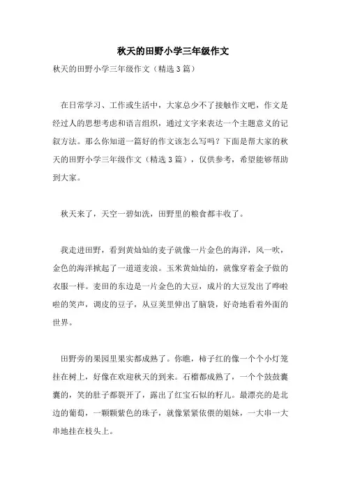 秋天的田野小学三年级作文