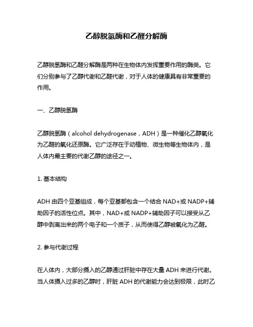 乙醇脱氢酶和乙醛分解酶