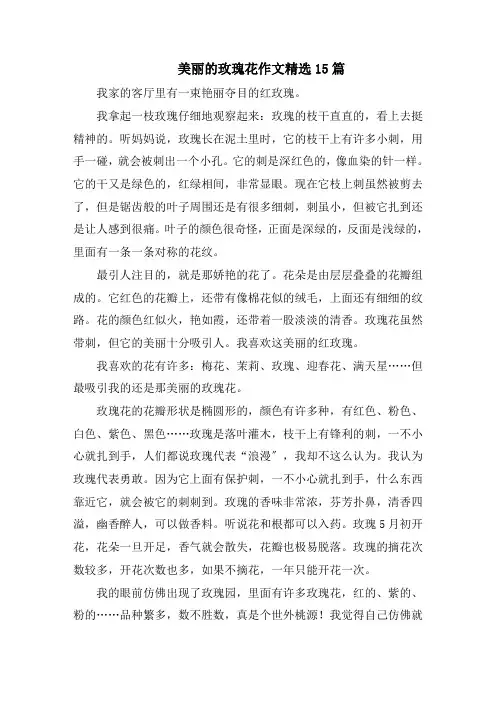 美丽的玫瑰花作文精选15篇范文
