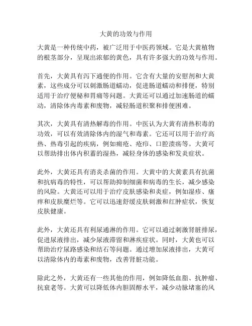 大黄的功效与作用