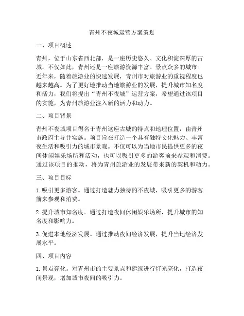 青州不夜城运营方案策划
