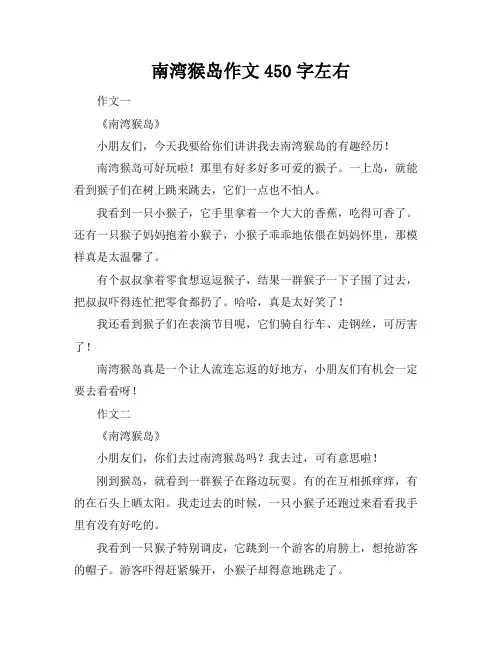 南湾猴岛作文450字左右