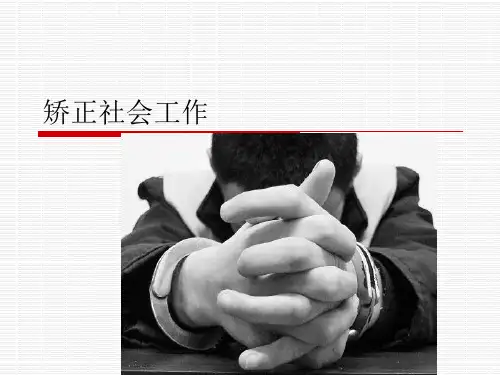 社会工作 实务—— 矫正社会工作 