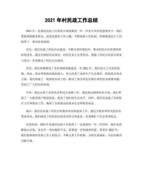 2021年村民政工作总结