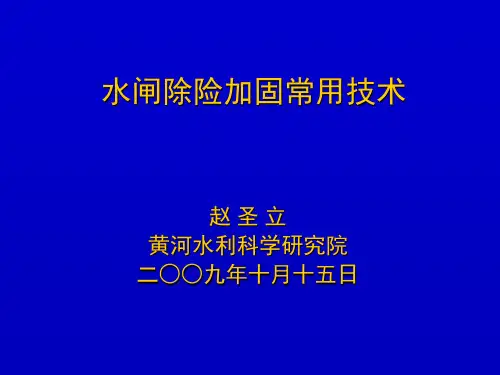 水闸除险加固常用技术讲义三