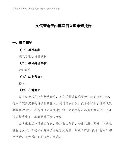 (规划方案说明)支气管电子内镜项目立项申请报告