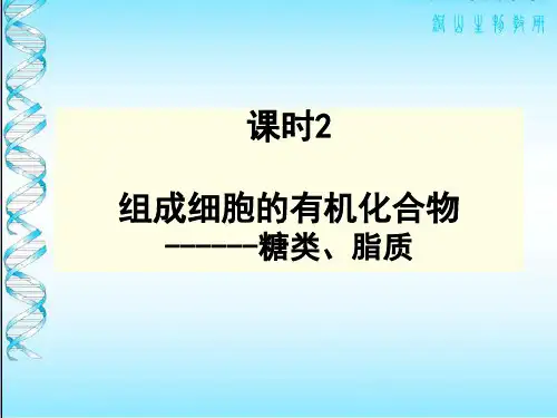 糖类的种类和功能