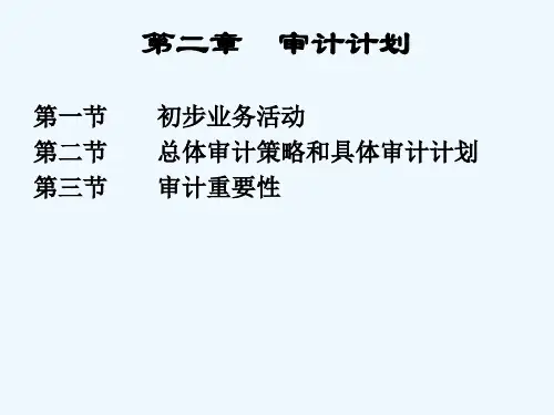 具体审计计划 PPT
